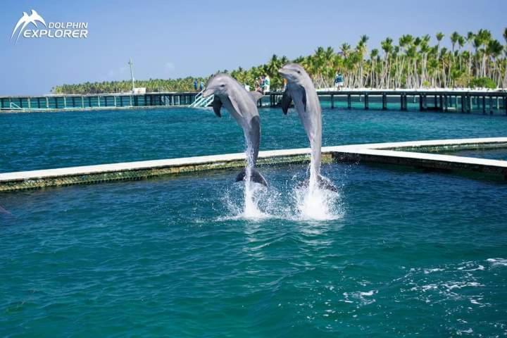Caribbean And Sun Punta Cana Luaran gambar